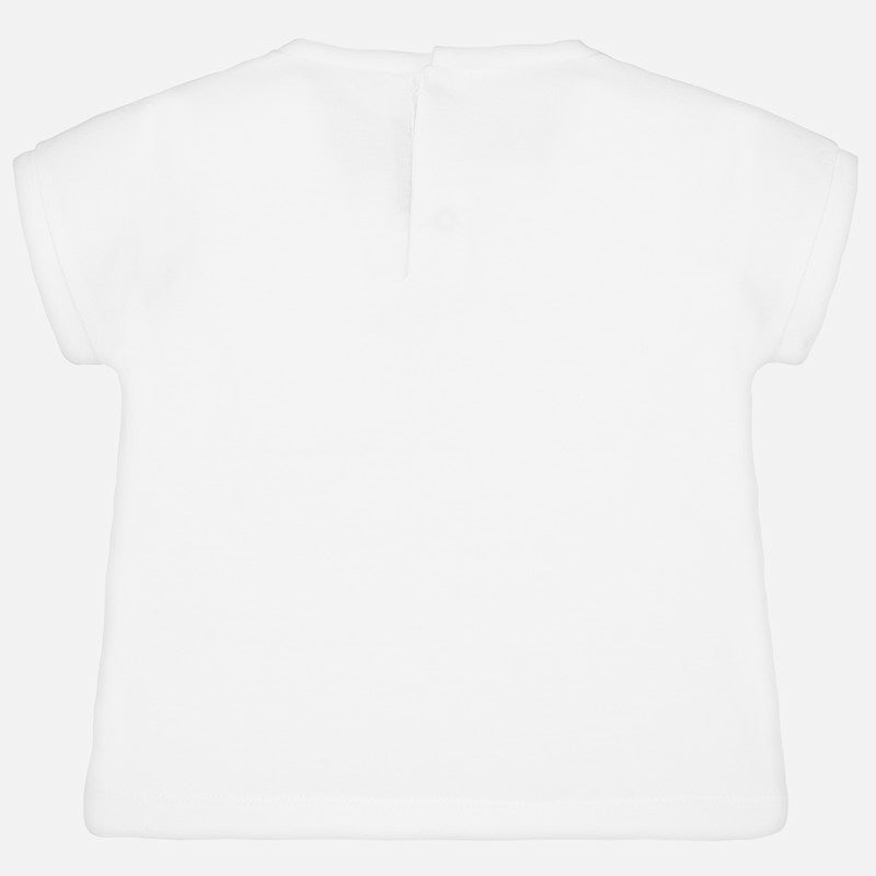 /media/products/11070/11070_magento_1_6ab45974bb3ff.jpg